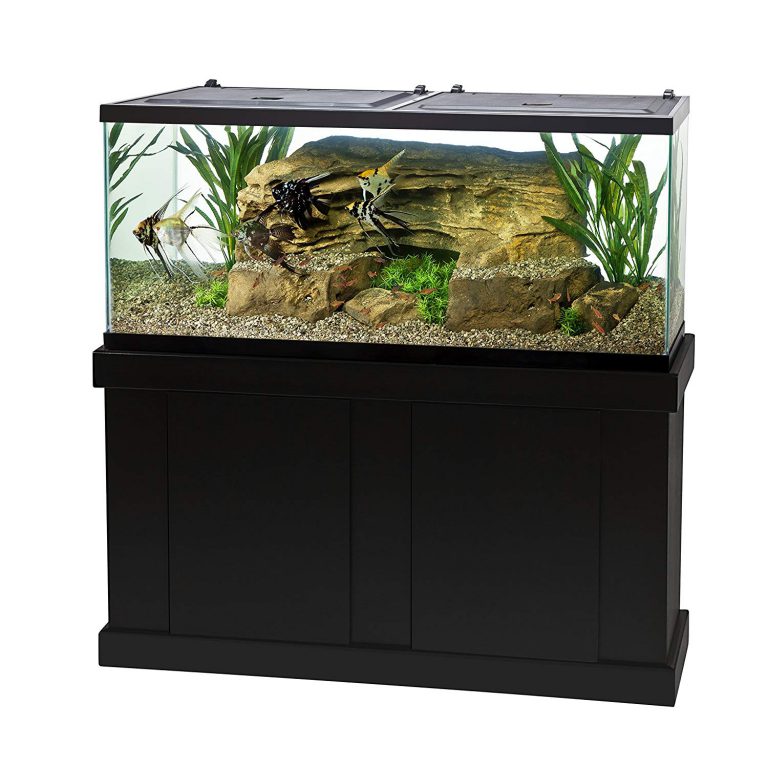 12 Best 55 Gallon Fish Tank & Aquarium Kits Reviews 2020