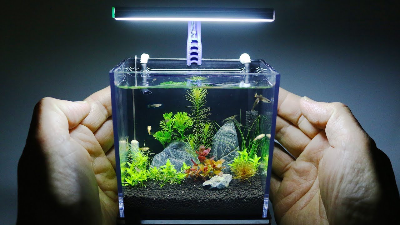 Nano Aquarium 