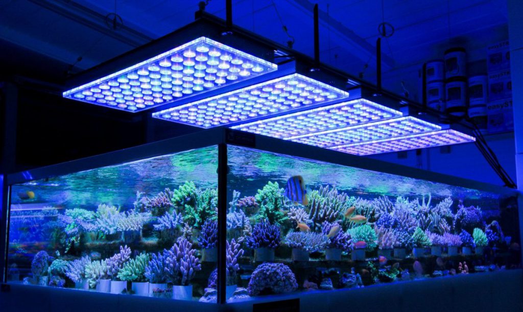 Best Fish Tank Led Lights Aquarium tank fish light led tube submersible lamp underwater bulb decoration waterproof 220v bar ip68 lighting eu plug 110v dive