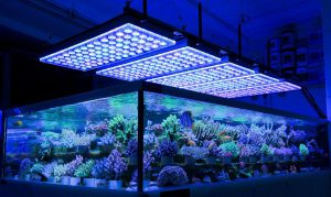 36-inch-led-aquarium-light