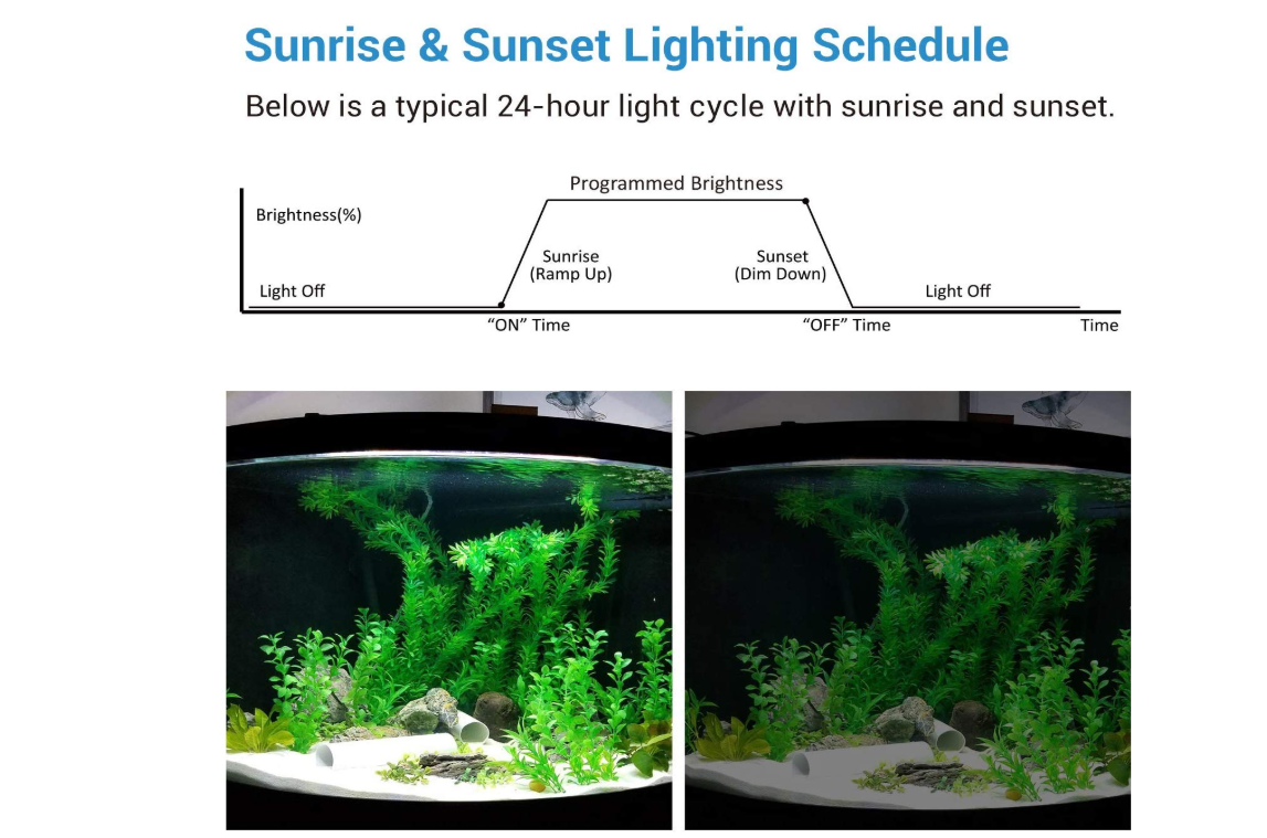 Top 4 Aquarium Light Timer (2019 Best Guide For You)
