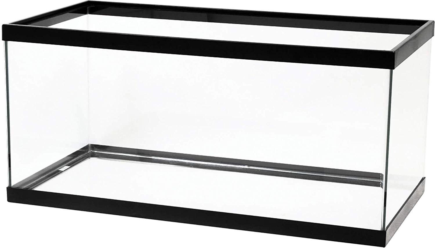 Best 40 Gallon Fish Tank Reviews and Setup Guide {Top Picks 2019}