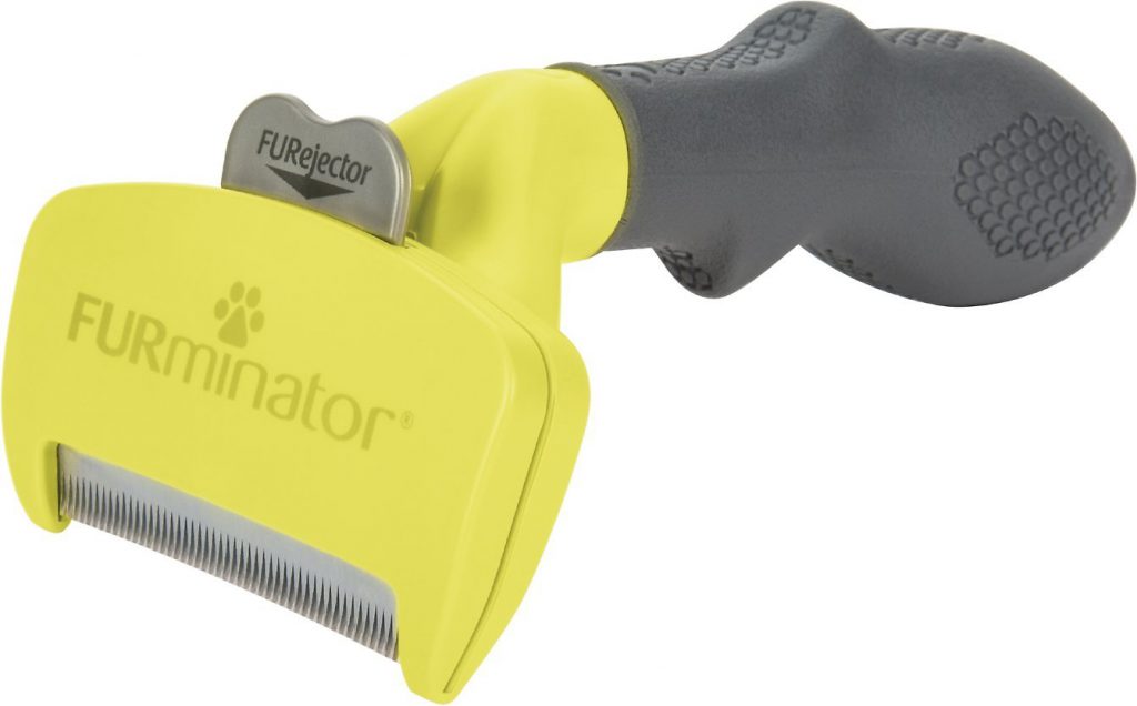 5 Top Best Grooming Product For Your Cat