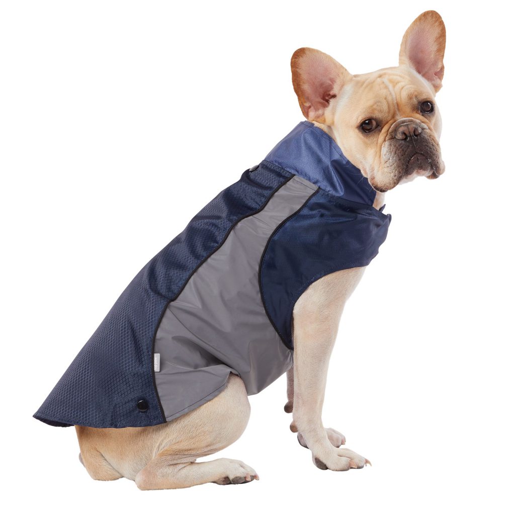 Tips on Pet Clothes- Pet Apparel Design & Appearance