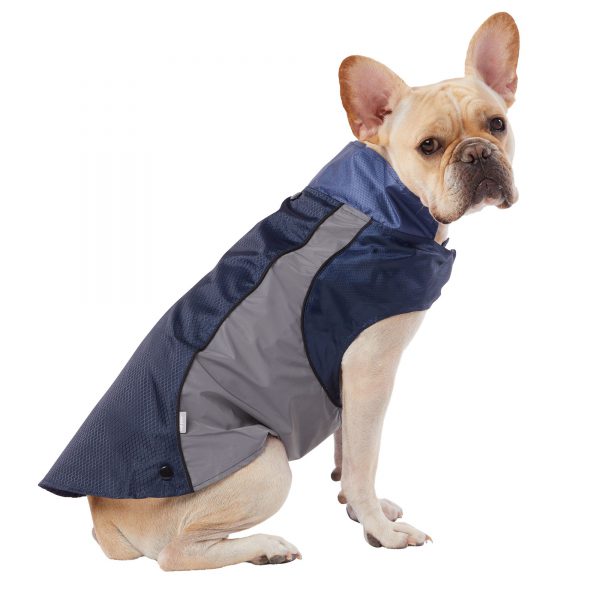 Tips on Pet Clothes- Pet Apparel Design & Appearance