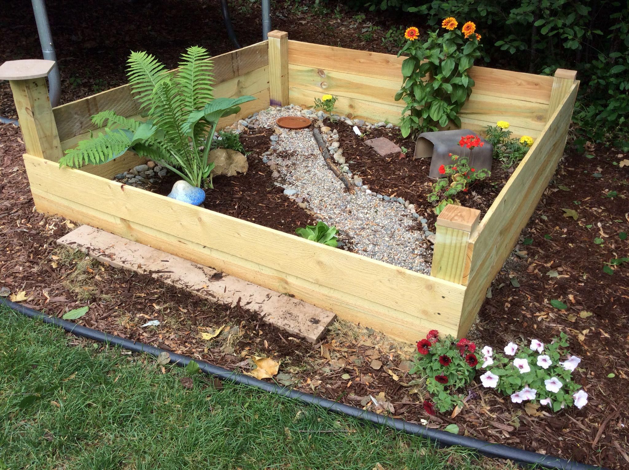 Plants in outdoor tortoise enclosure