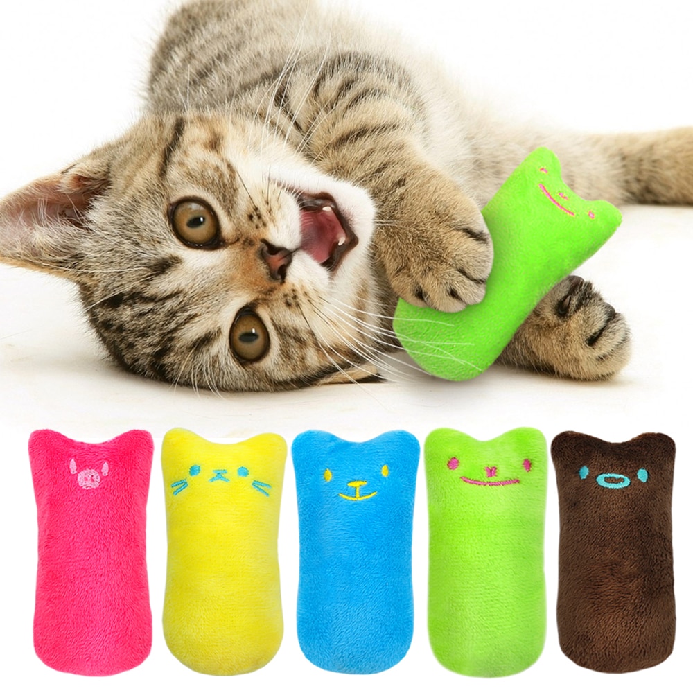 Types of Cat Toys (Best Cat Toys Guide 2020)