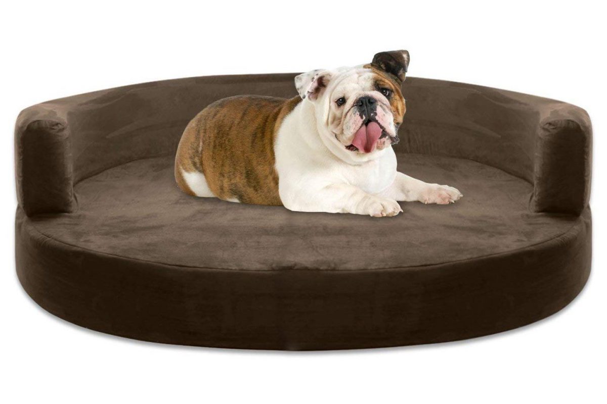 Dog Beds Choosing And Taking Proper Care Of Your Puppy's Nest