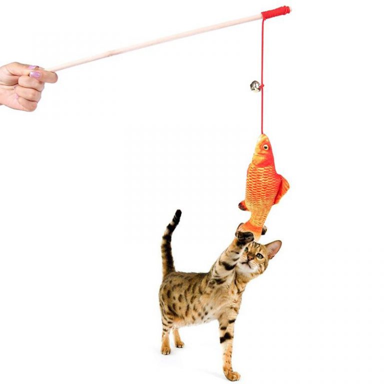 Types of Cat Toys (Best Cat Toys Guide 2020)