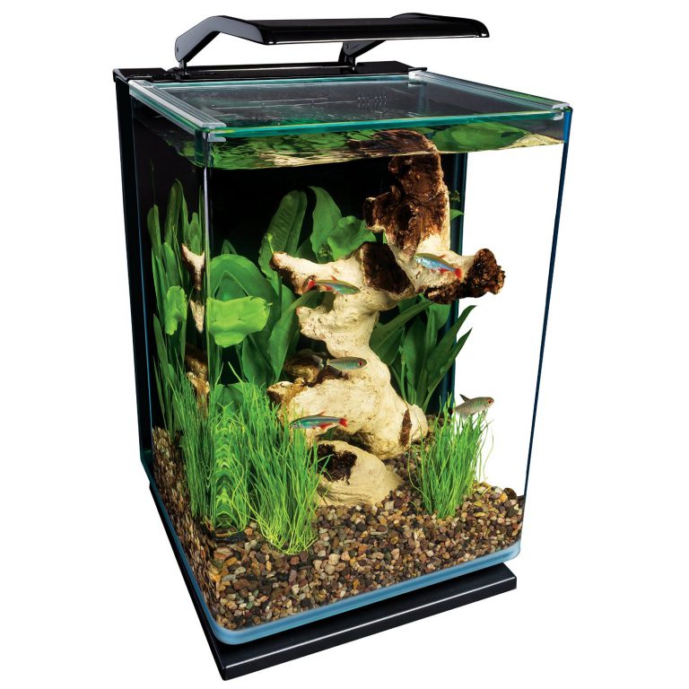 Cheap Fish Tanks & Aquariums Tips & Guide