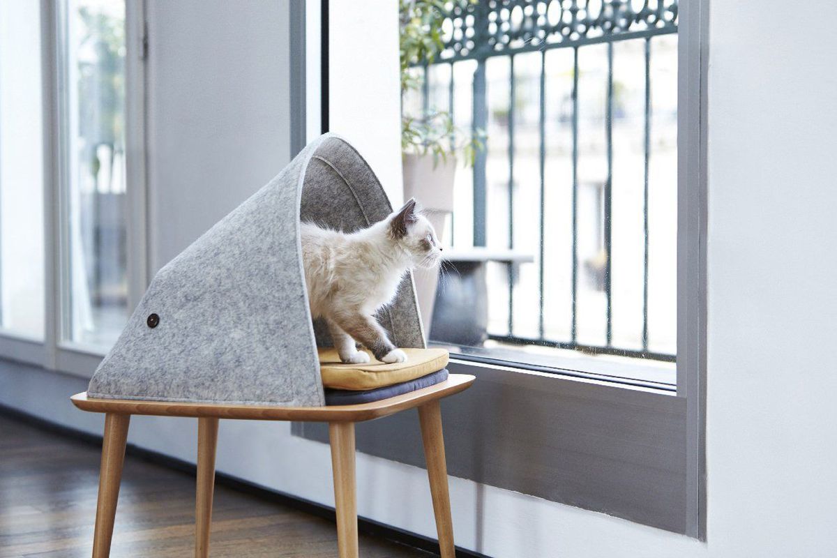 cat-furniture